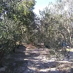 The Olive Garden Appartamento *