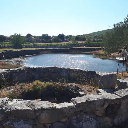 شقة The Olive Garden