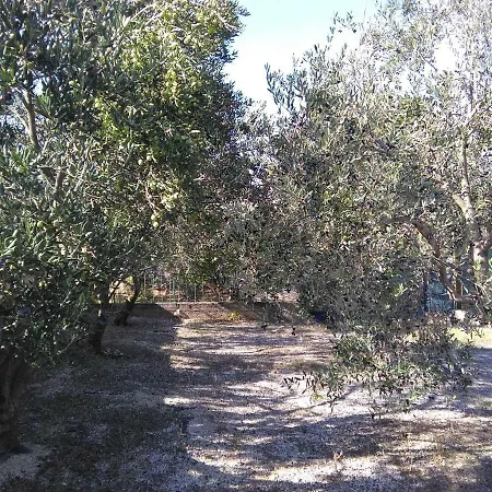 The Olive Garden Apartmán *