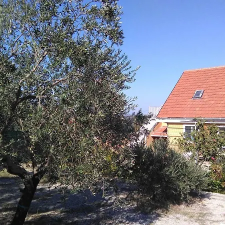 شقة The Olive Garden