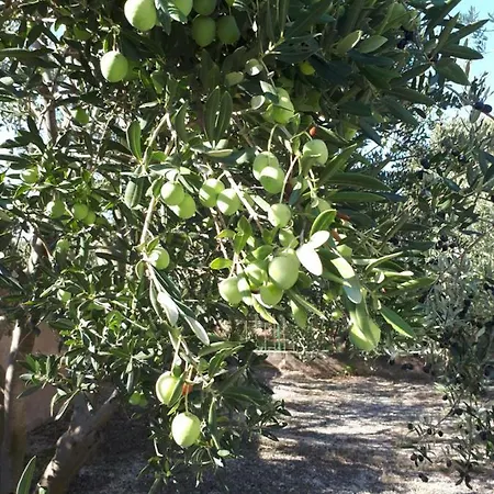 شقة The Olive Garden *