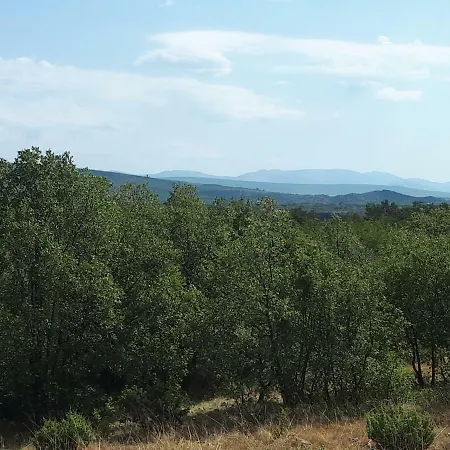 شقة The Olive Garden شيبينيك