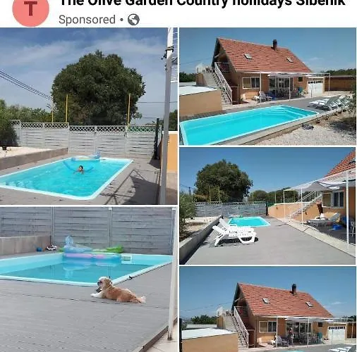 דירה The Olive Garden