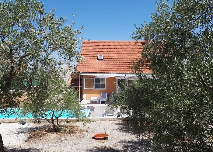 The Olive Garden שיבניק