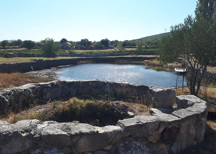 דירה The Olive Garden