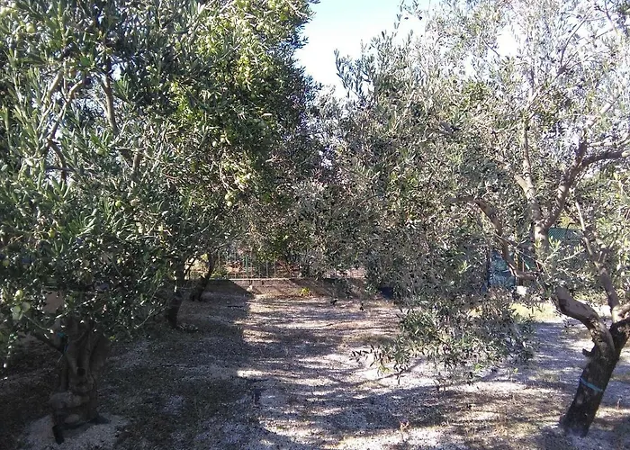 The Olive Garden דירה *