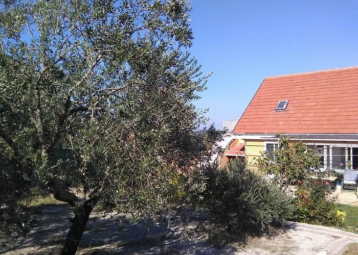 דירה The Olive Garden