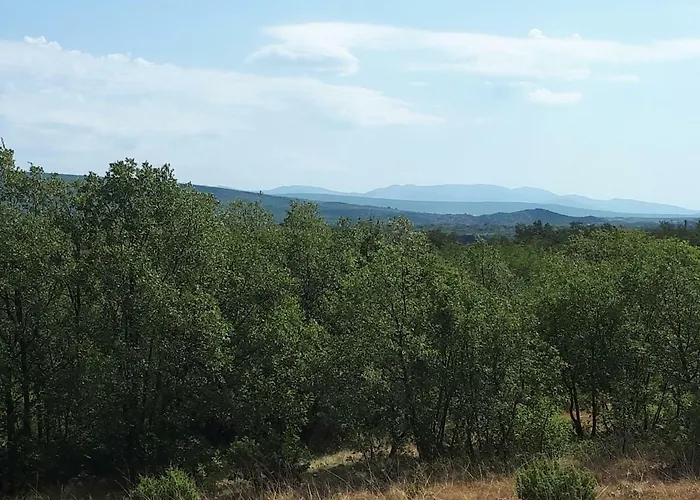 דירה The Olive Garden שיבניק