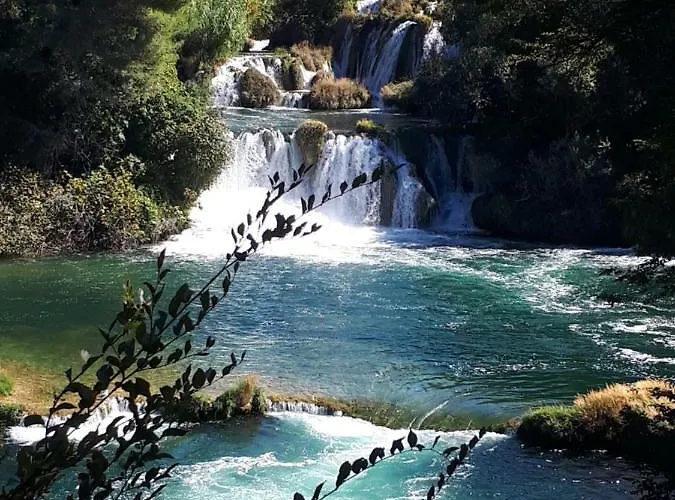 The Olive Garden * שיבניק