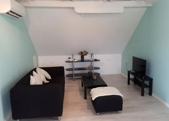 The Olive Garden שיבניק